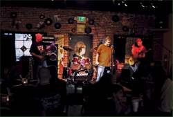 Fever Dog Fever Dog
