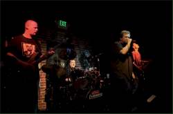 Fever Dog Fever Dog